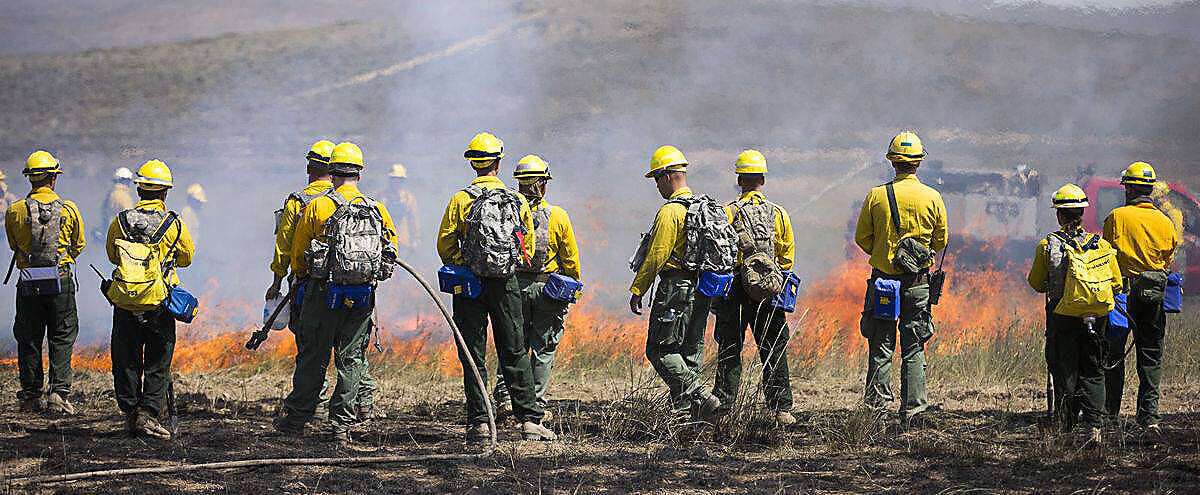 wildfire-guard-backs-850x350.jpg