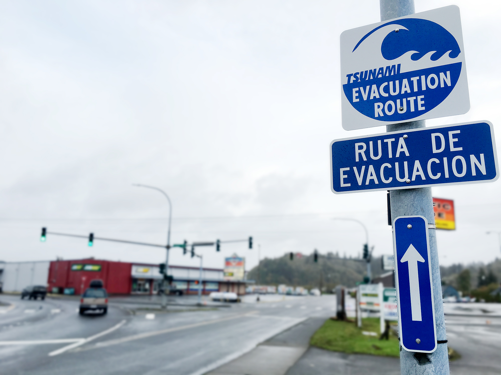 tsunami-sign-spanish-english.jpg
