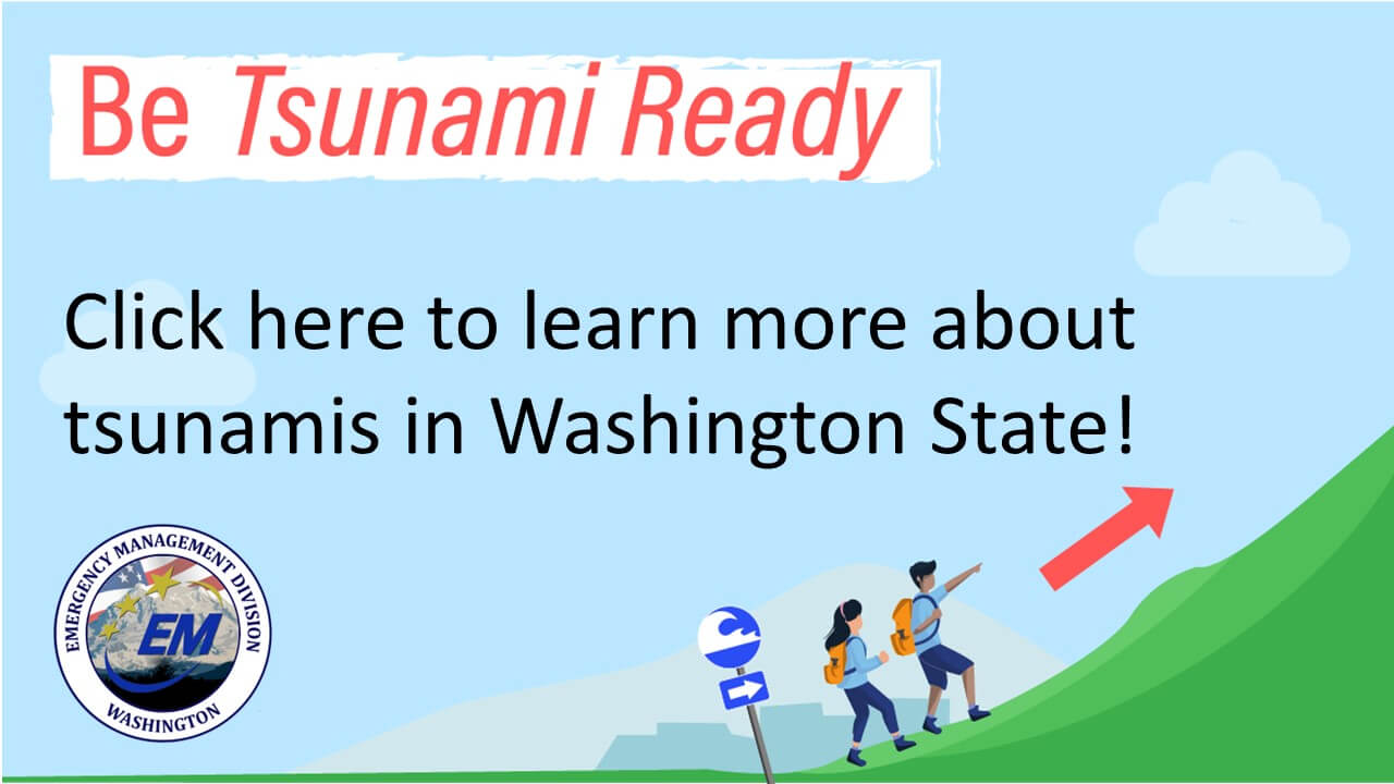 Try Before You Buy: Great Opportunity or Ecommerce Returns Tsunami